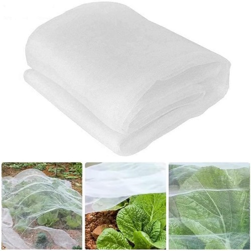 Kaheign insect protection - insect,