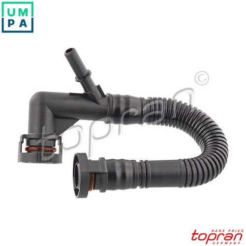 Hose cylinder head cover - head,